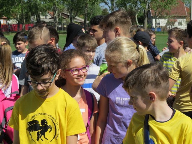 Nárcisz futás 2018 006